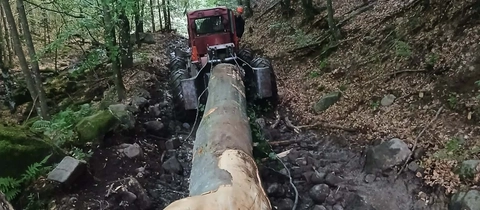 Explotación forestal