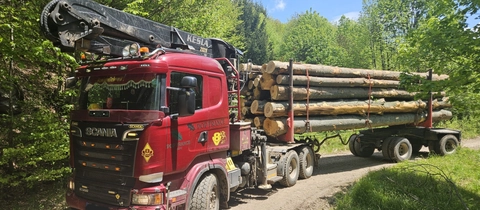 Transporte de madera