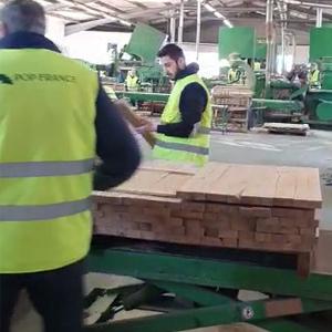 Producing oak barrels staves